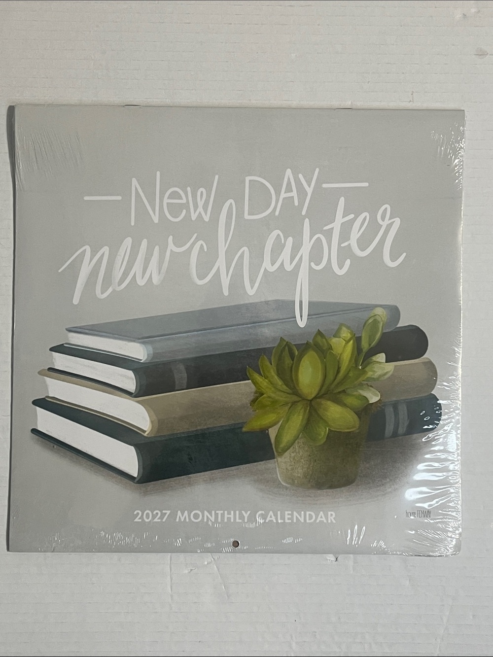 New Day New Chapter 2027 Monthly Calendar - Gray with Green Accent